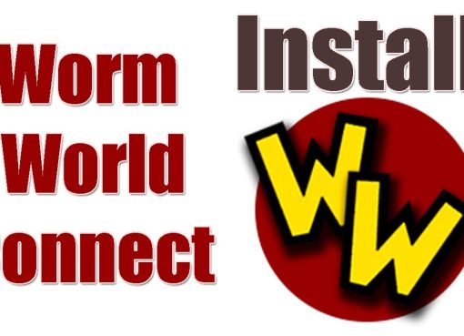 كيفية تفعيل ميزه worm world connect