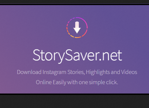 تحميل ستوريات الانستغرام story saver.net