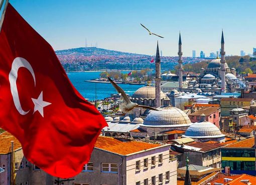 رابط مراحل التجنيس في تركيا | رابط الجنسيات التركية للسوريين 2022