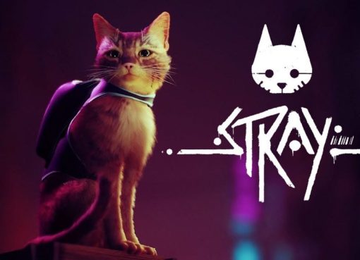 متطلبات تشغيل لعبة ستراي القطة stray system requirements اخر اصدار