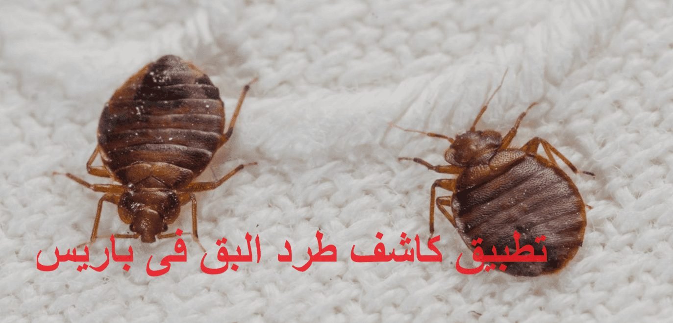 تحميل تطبيق كاشف طرد البق فى باريس للاندرويد 2024 أخر اصدار
