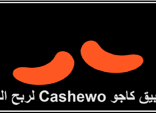 تحميل تطبيق كاجو Cashewo للاندرويد للربح من النت 2024 مجانا